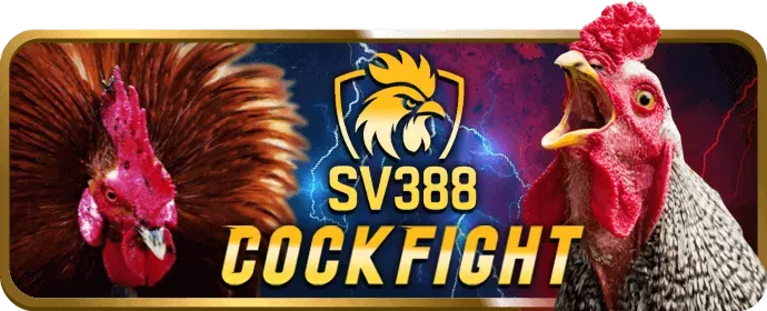 Hoàn trả hấp dẫn khi chơi bắn cá tại 555win12